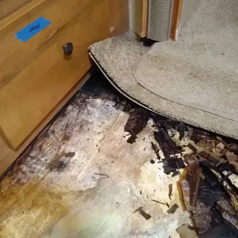 Wood Floor Water Damage in Onancock, VA